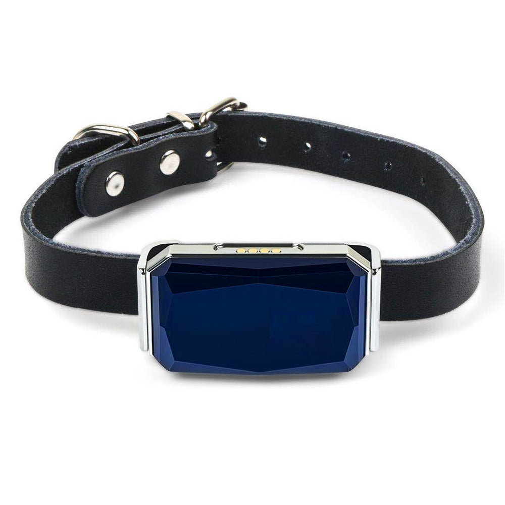Pet Tracker 2.0 - GPS